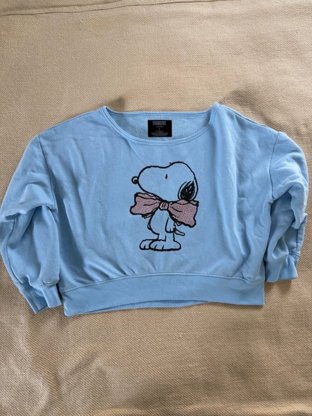 Peanuts Worldwide Snoopy Graphic Fleece Pullover Blue Sweatshirt L - Picture 2 of 8